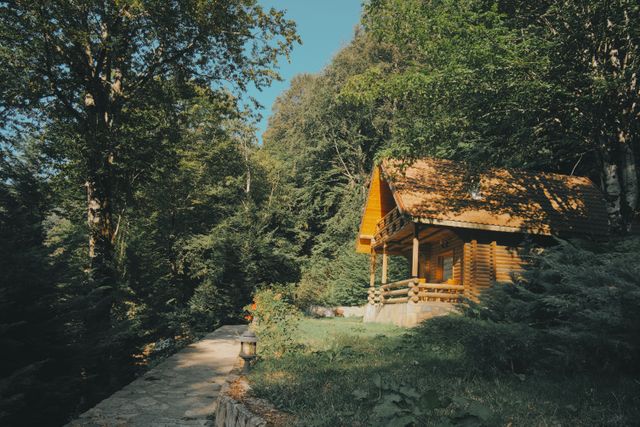 dům v lese